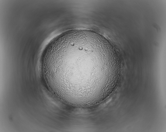 X0000110980343200907022101