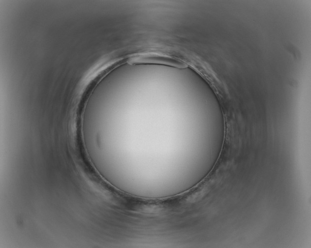 X0000110980344200907022101