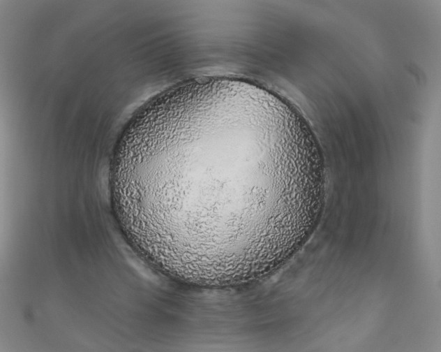 X0000110980345200907022101