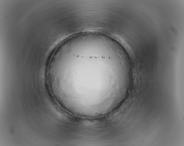 X0000110980346200907022101