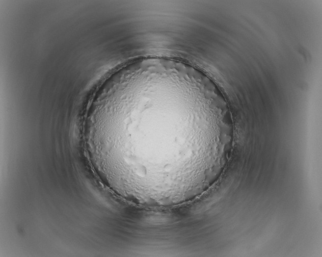 X0000110980347200907022101