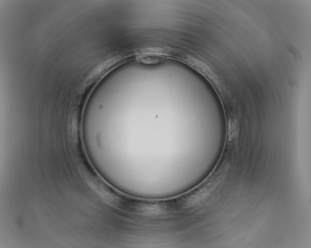 X0000110980349200907022101