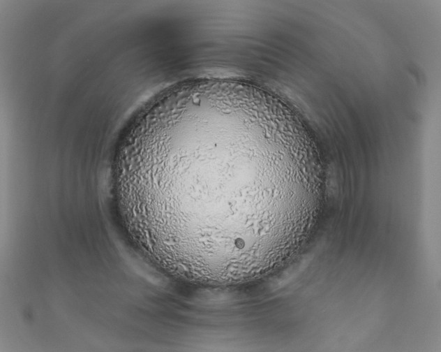 X0000110980351200907022101