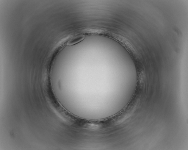 X0000110980352200907022101