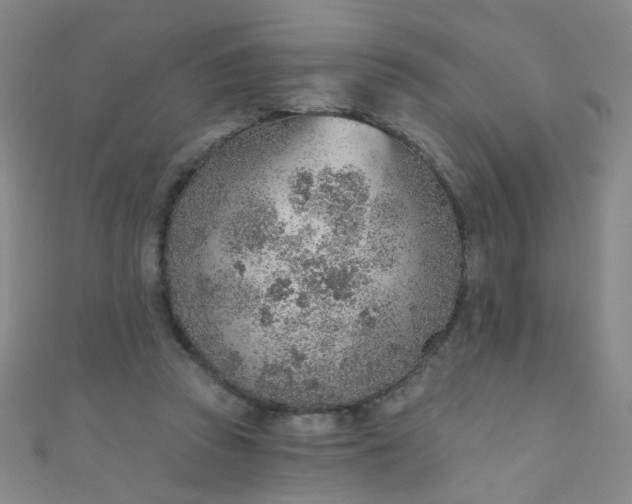 X0000110980353200907022101