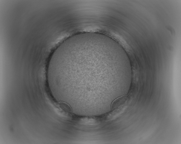 X0000110980354200907022101