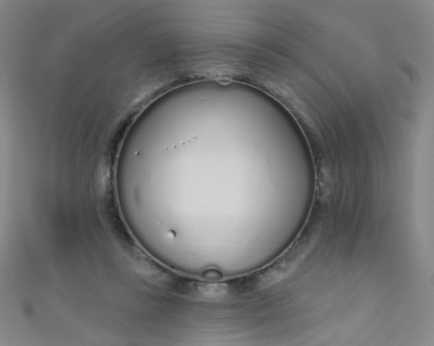 X0000110980355200907022101