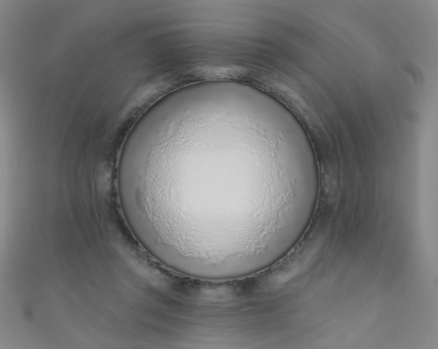 X0000110980357200907022101