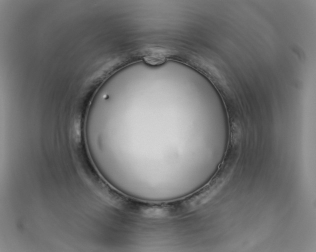 X0000110980358200907022101