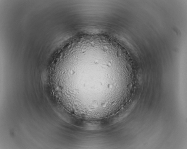 X0000110980359200907022101