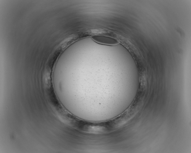 X0000110980360200907022101