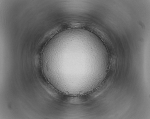 X0000110980361200907022101