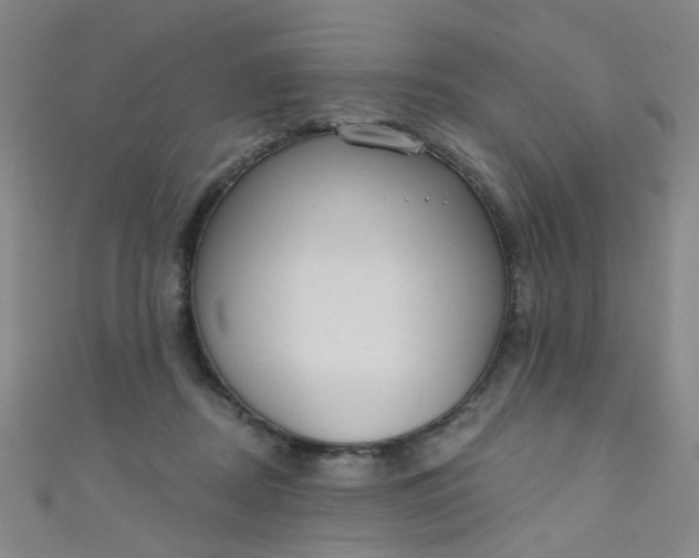 X0000110980362200907022101