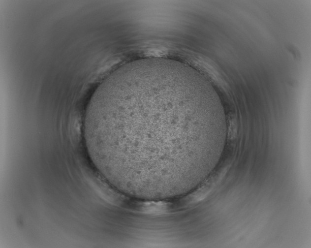 X0000110980363200907022101