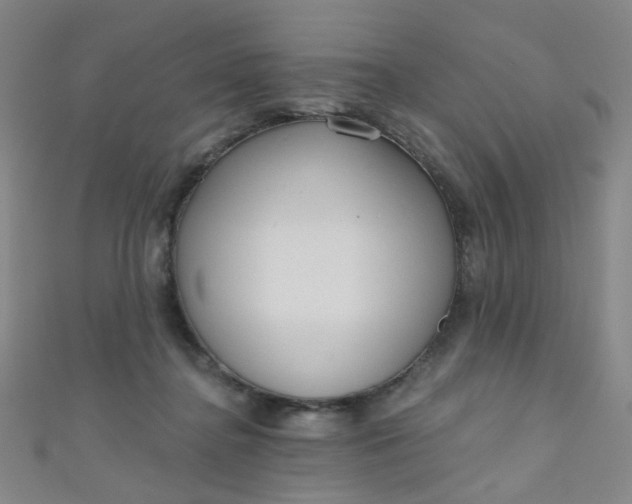 X0000110980364200907022101