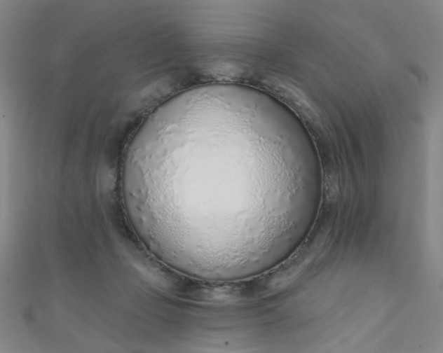 X0000110980365200907022101