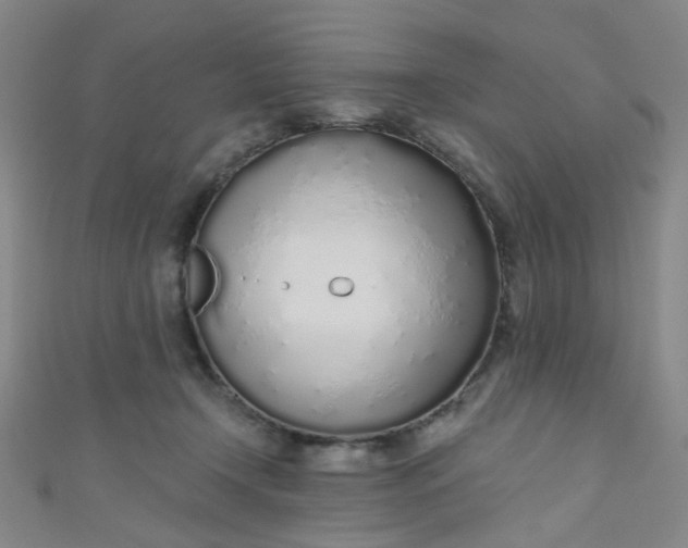 X0000110980366200907022101