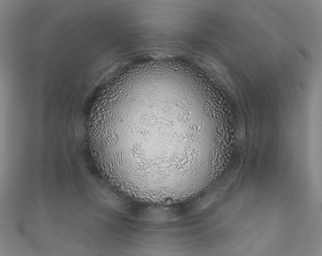 X0000110980367200907022101