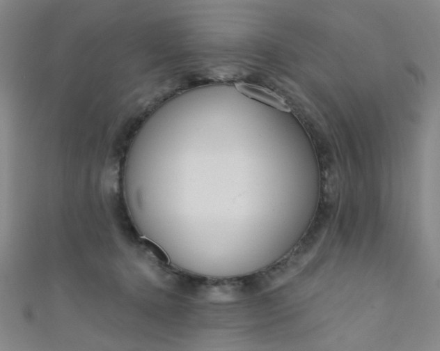 X0000110980368200907022101