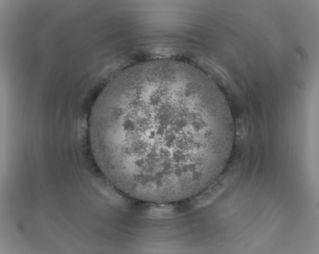 X0000110980369200907022101