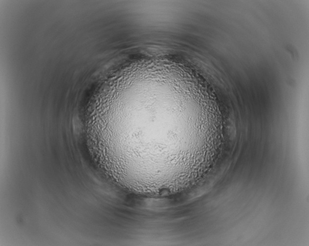 X0000110980371200907022101