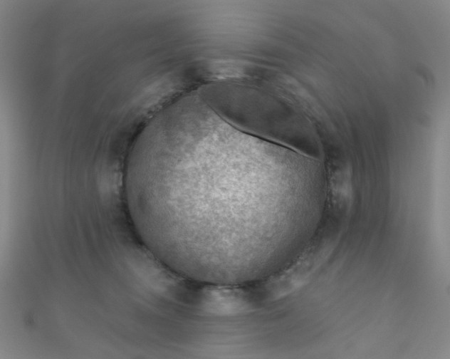 X0000110980372200907022101