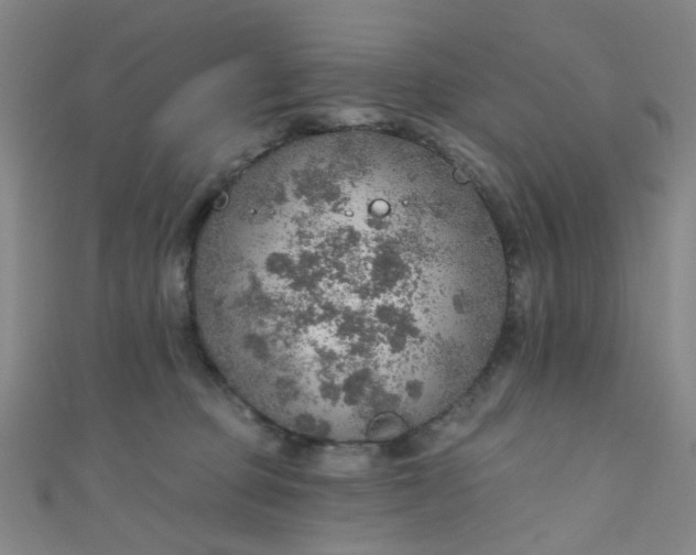 X0000110980373200907022101