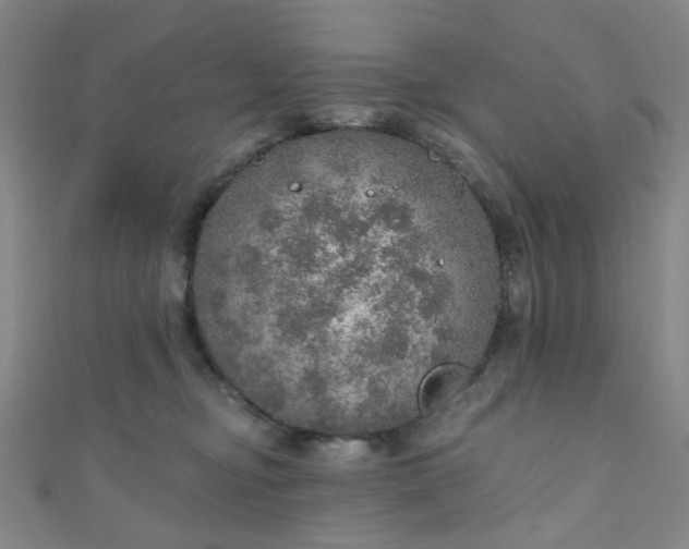 X0000110980374200907022101