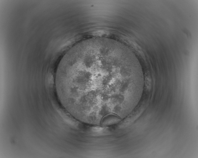 X0000110980375200907022101