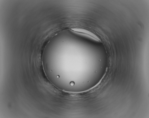 X0000110980376200907022101