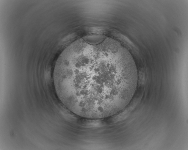 X0000110980377200907022101