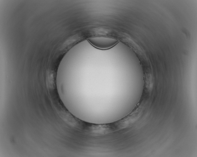 X0000110980378200907022101