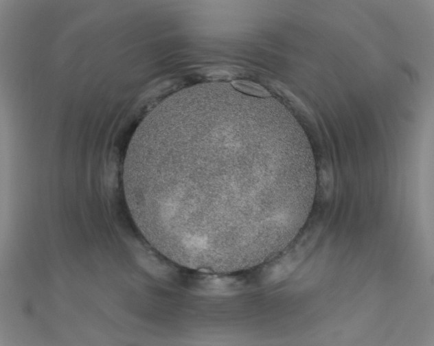 X0000110980379200907022101