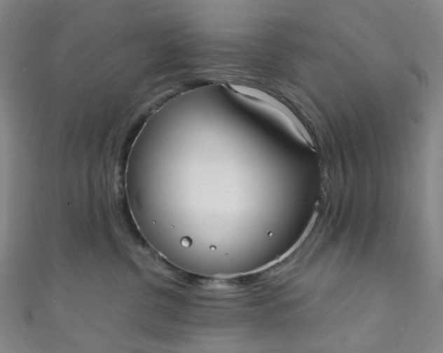 X0000110980380200907022101