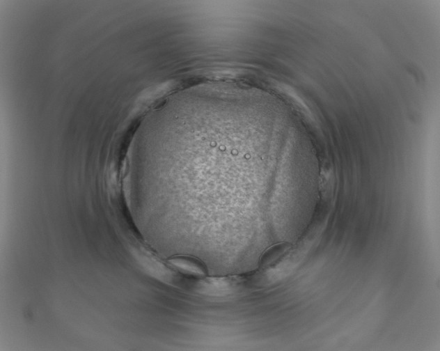 X0000110980381200907022101