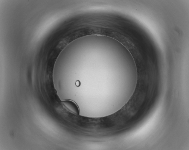 X0000110980382200907022101