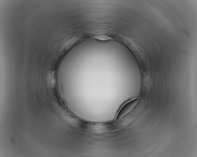 X0000110980383200907022101