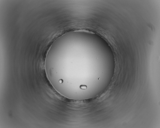 X0000110980384200907022101