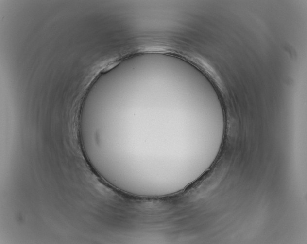 X0000110980385200907022101