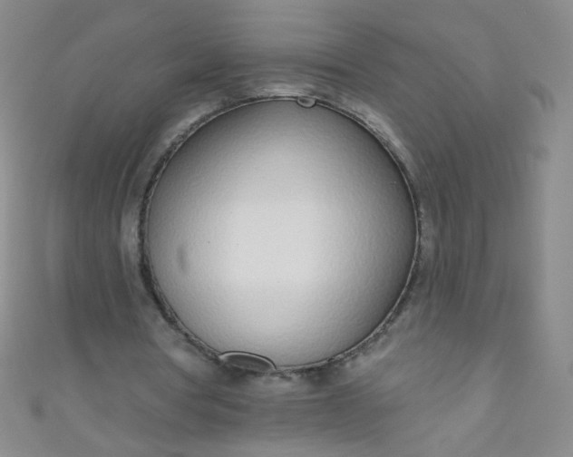 X0000110980386200907022101