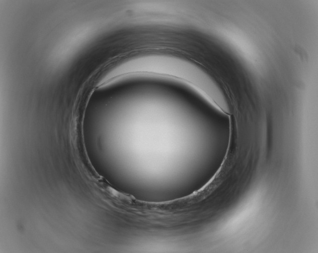 X0000110980387200907022101