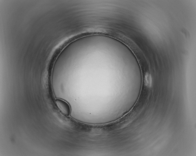 X0000110980388200907022100