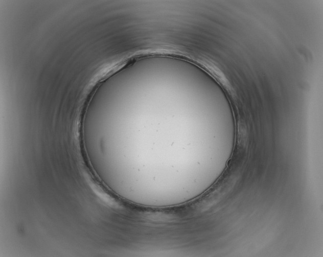 X0000110980389200907022100