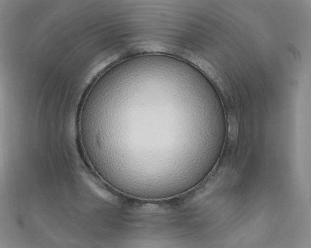 X0000110980390200907022100