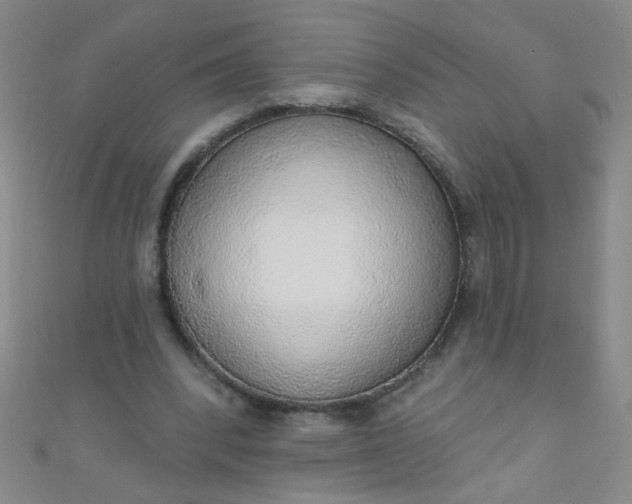 X0000110980392200907022100