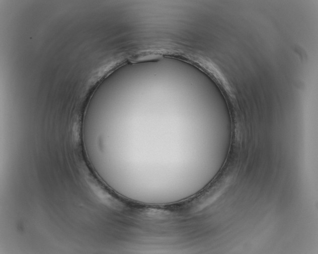 X0000110980393200907022100