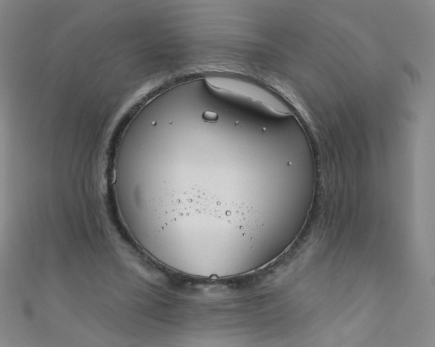 X0000110980395200907022100