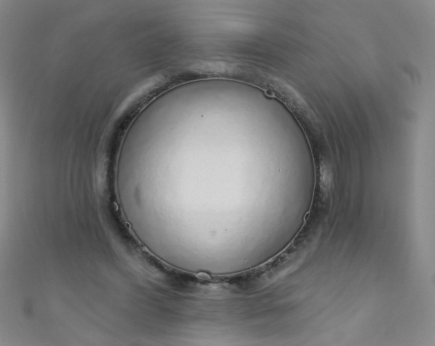 X0000110980396200907022100