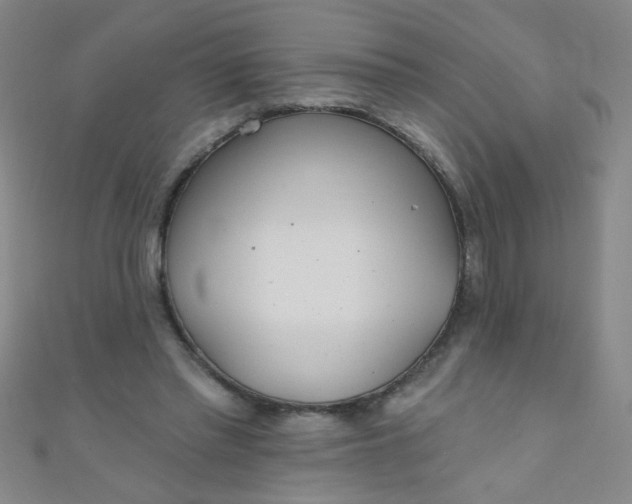 X0000110980397200907022100