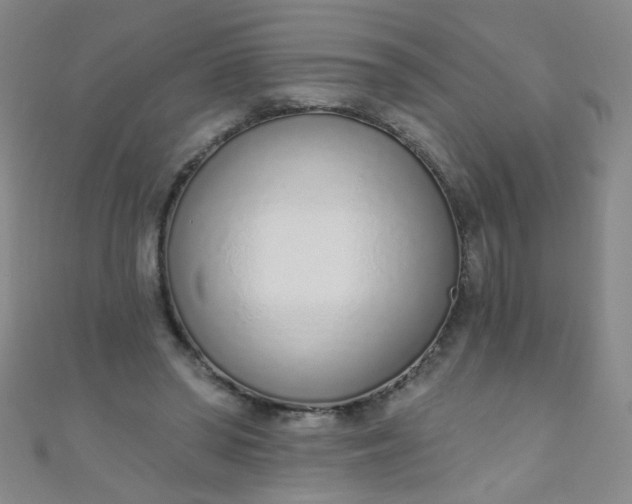 X0000110980398200907022100